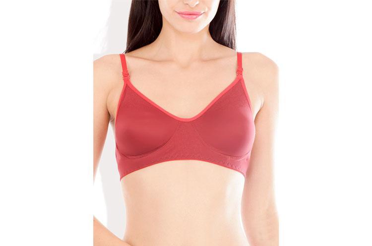 Soft Cups Seamless Bras