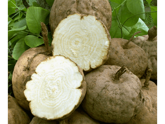 Tighten Vaginal Walls with Pueraria Mirifica Tighten Vaginal Walls with Pueraria Mirifica