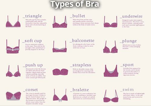 Parts Of A Bra