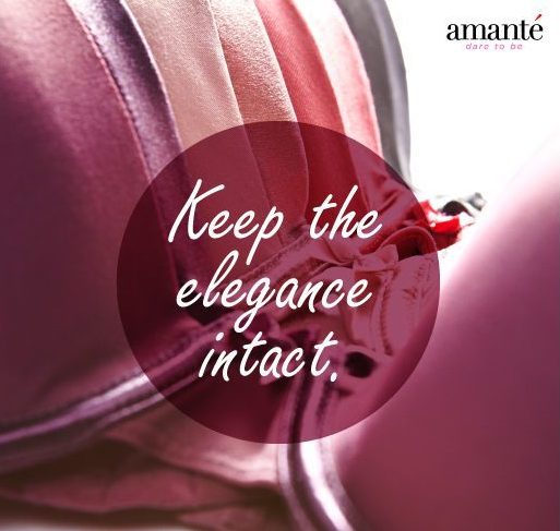 Amante Lingerie brands
