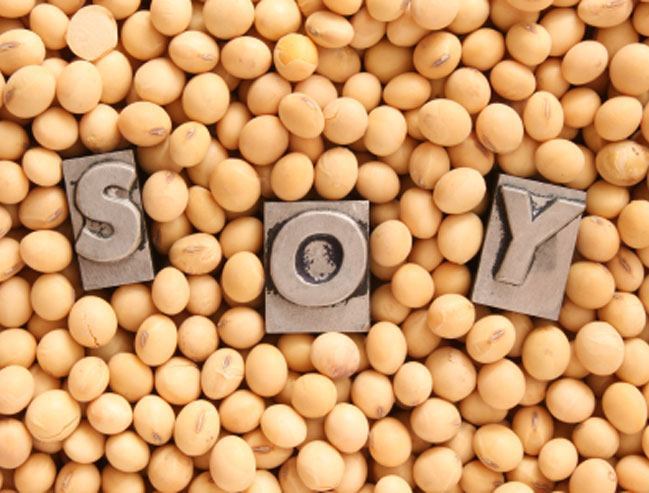 soy