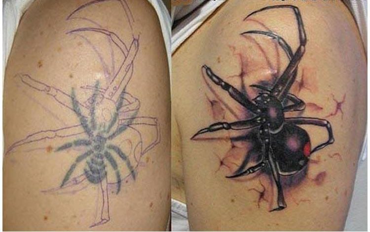 Spider cover by Pedi