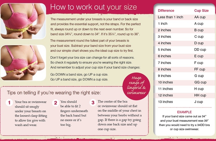 Bra fitting guide