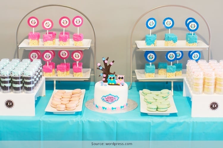 Gender Reveal Party