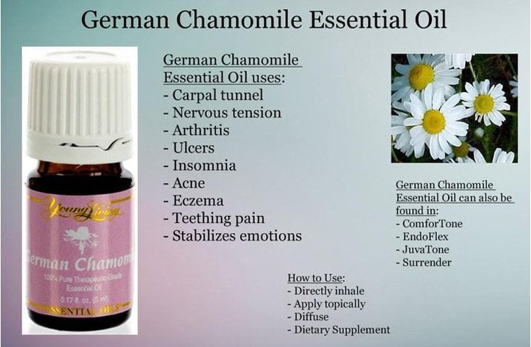 German chamomile essential oil