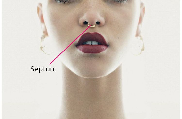 Septum Nose Cartilage Piercing