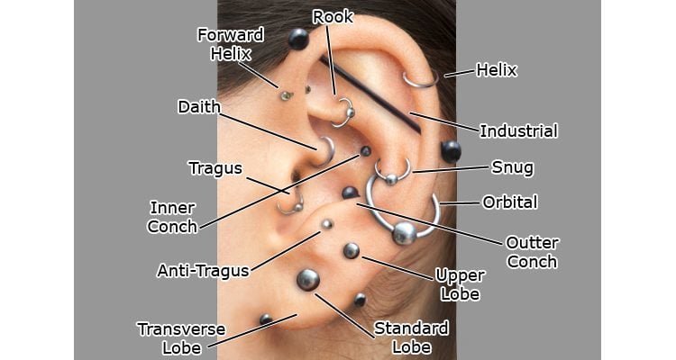 Types of Ear Cartilage Piercing