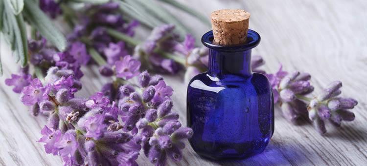 Best Essential Oils for Skin