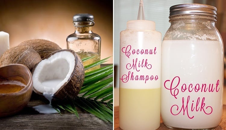 Coconut Homemade Shampoos