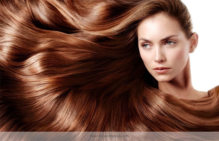 Tips for Oily Hair Control