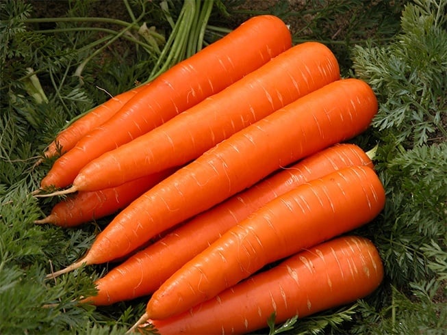 Carrots for curly hair