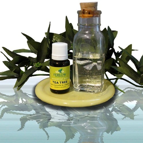 how to use tea tree oil for vaginal odor