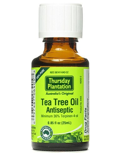 Tea Tree Oil for hair bugs