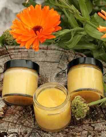 Marigold Health Benefits