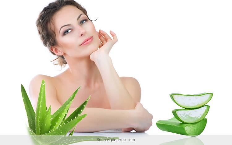 Aloe Vera Beauty Produkte - Die Magie der Aloe Vera  