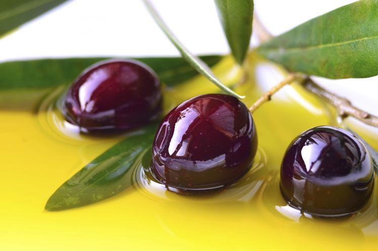 about Greek olive oil