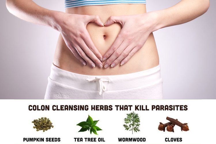 Cleansing colon