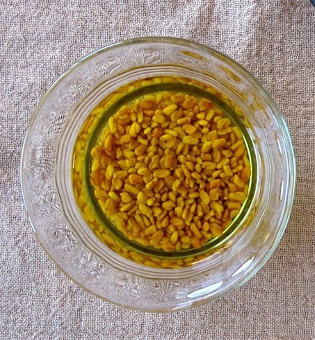 Fenugreek seeds for hair