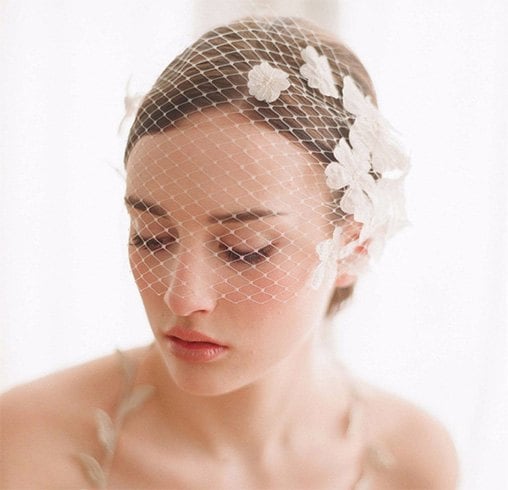 Lace birdcage veil