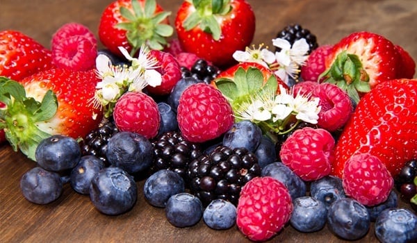 Foods High In Antioxidants