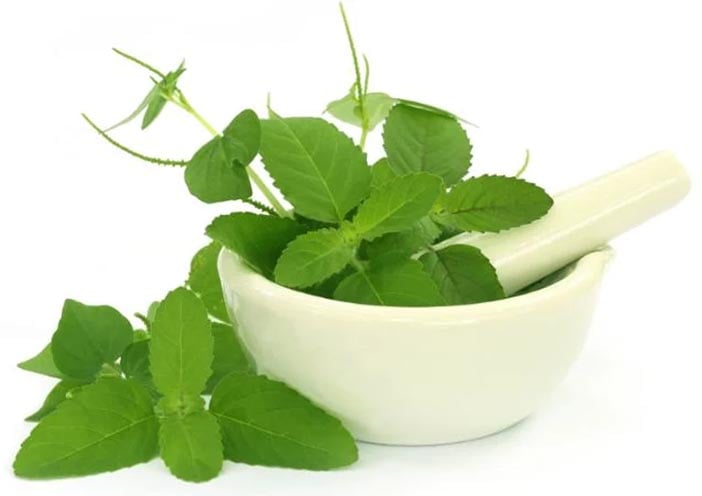 tulsi face pack uses