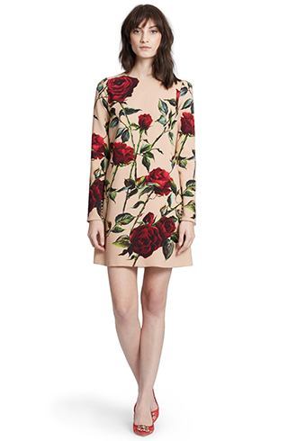 Dolce and Gabbana rose print dress