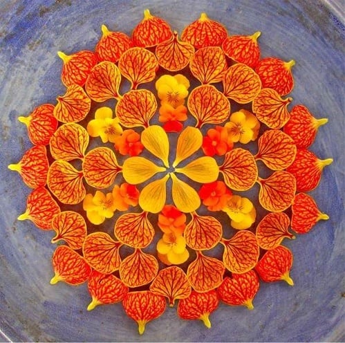 flower rangoli competitions