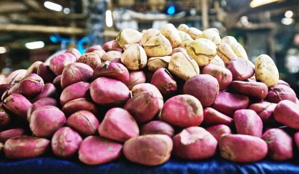 kola nut side effects