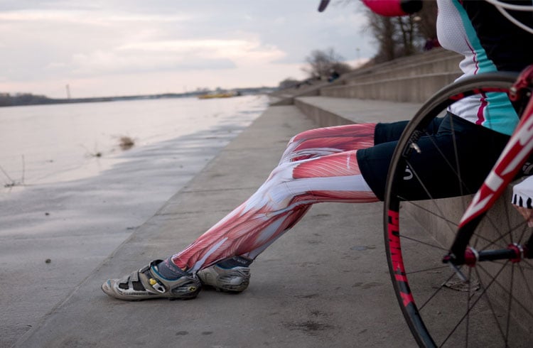 Cycling Leg Warmers