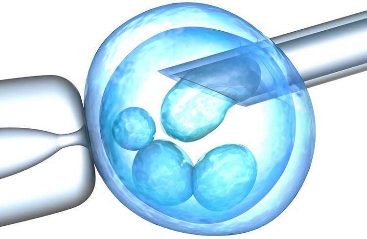 Egg Freezing Method