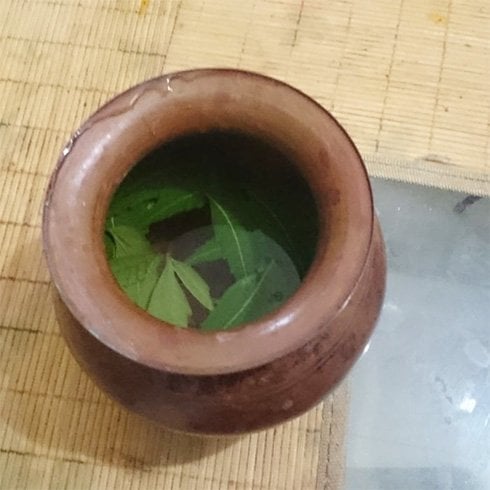 Neem water