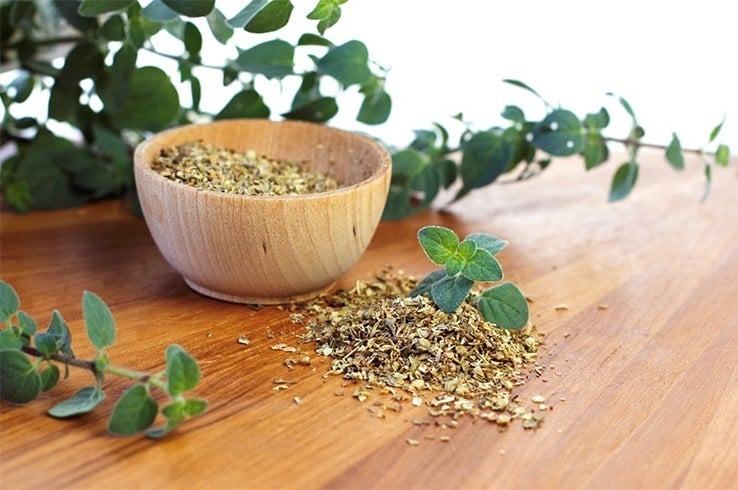 Oregano Bloating Tips