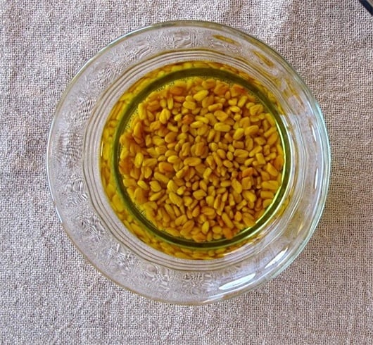 Soaking Fenugreek Seeds