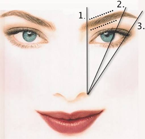 Beautiful Eyebrows Tips