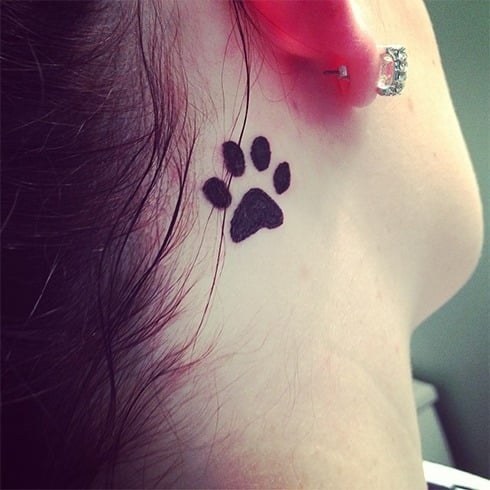 50 Animal Paw Print Tattoos Designs  Ideas 2023