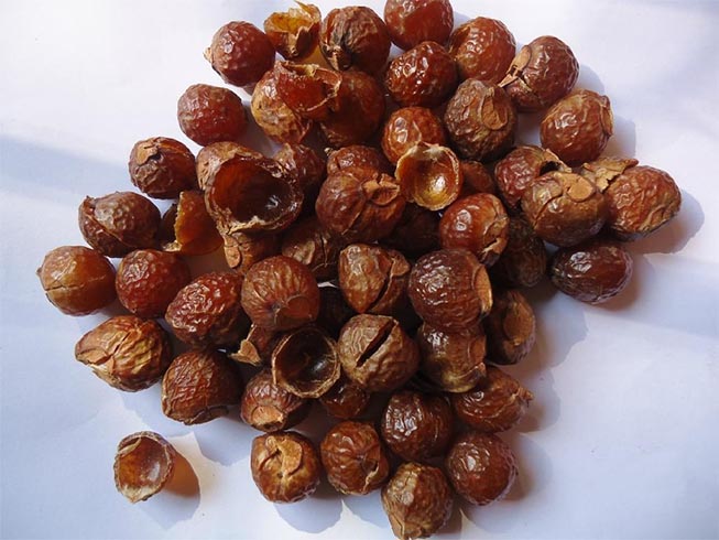 Soapnuts for Hair Fall