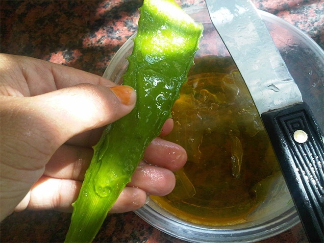 aloe vera for oily skin