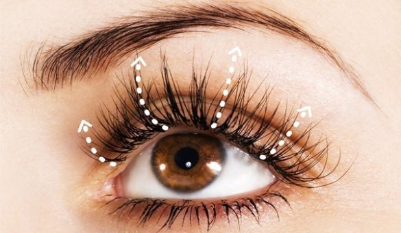 Argan Oil Eyelashes