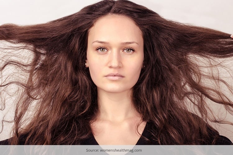 Dry Hair Causes  Treatments  Dry Hair Recipes  Holland  Barrett