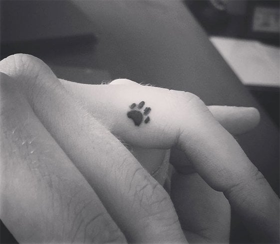 Small Paw Tattoo on Finger Small Paw Tattoo on Finger