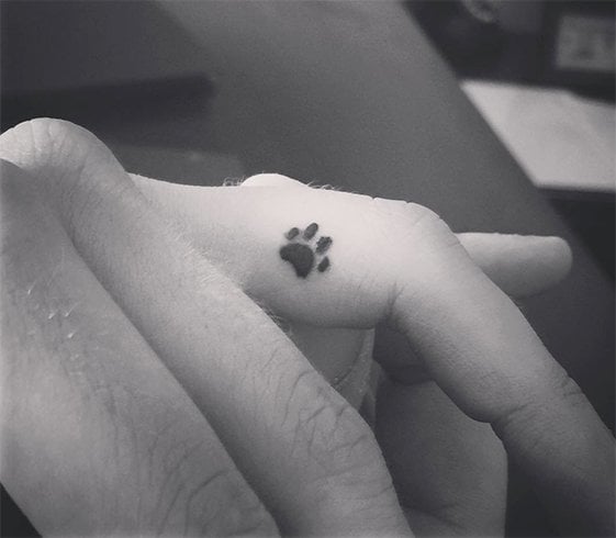 Small Paw Tattoo on Finger