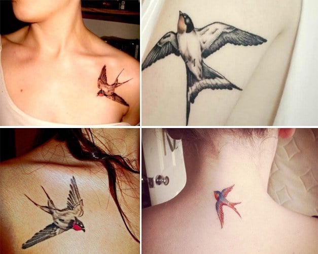 Swallow Tattoo on Body