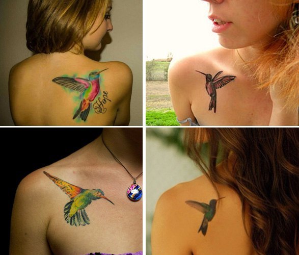 Hummingbird Tattoos Patterns