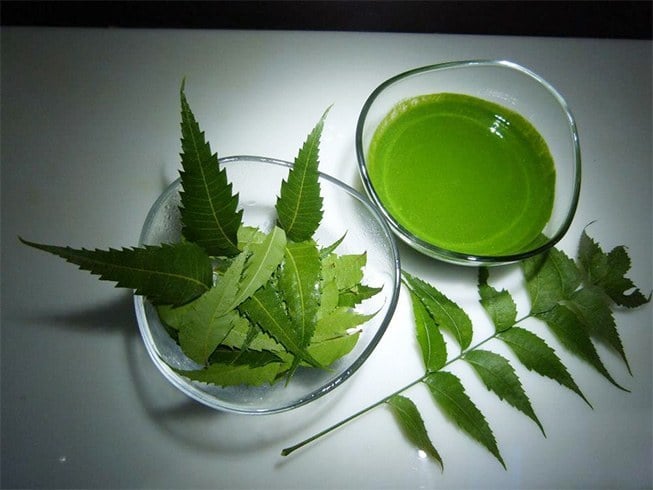 Neem leaves