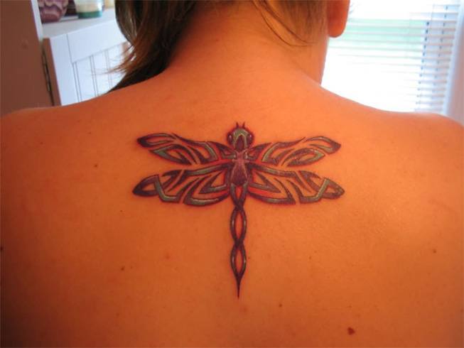 Tribal Dragon fly Pattern Tattoo