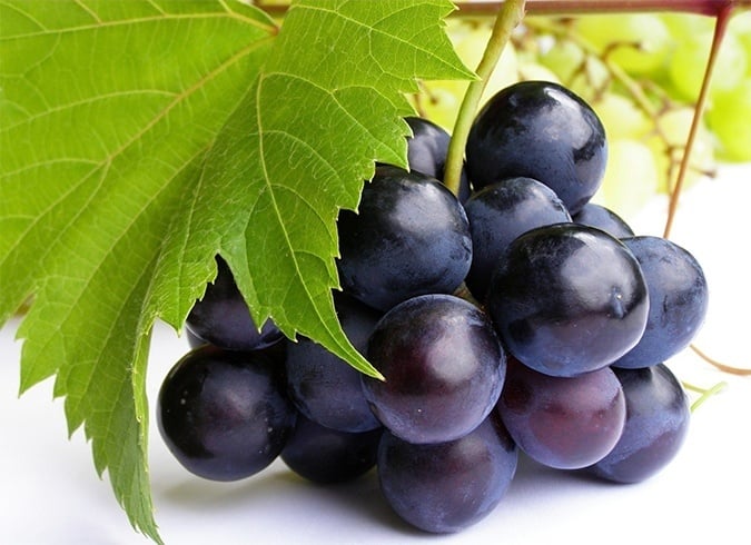 Black Grapes Good For Skin
