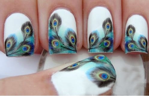 Peacock Nail art Designs