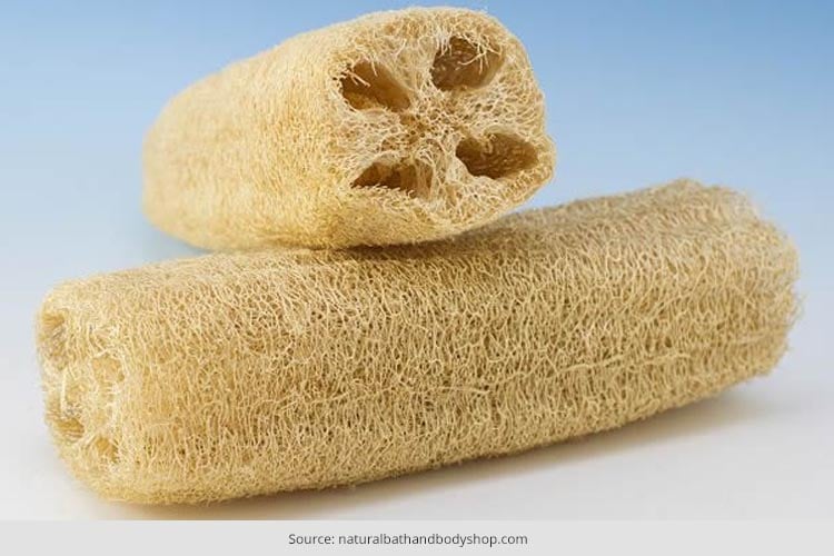 What Is A Loofah