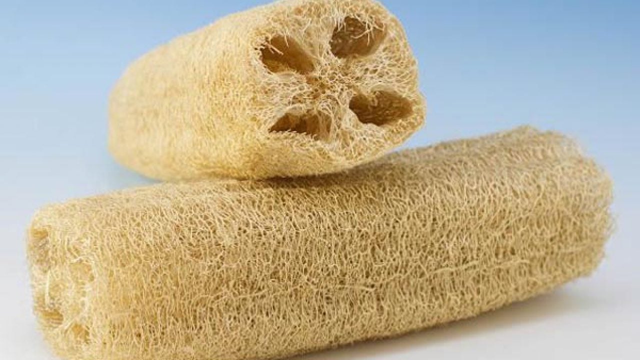 Ridge Gourd Exfoliator