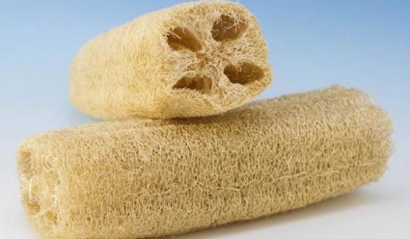 Loofah Benefits